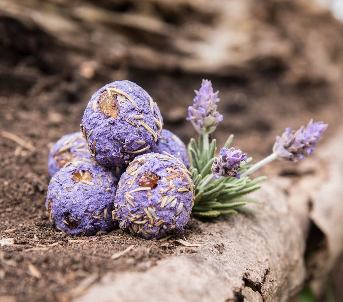 Lavender Herbal Gift Box | Relaxation