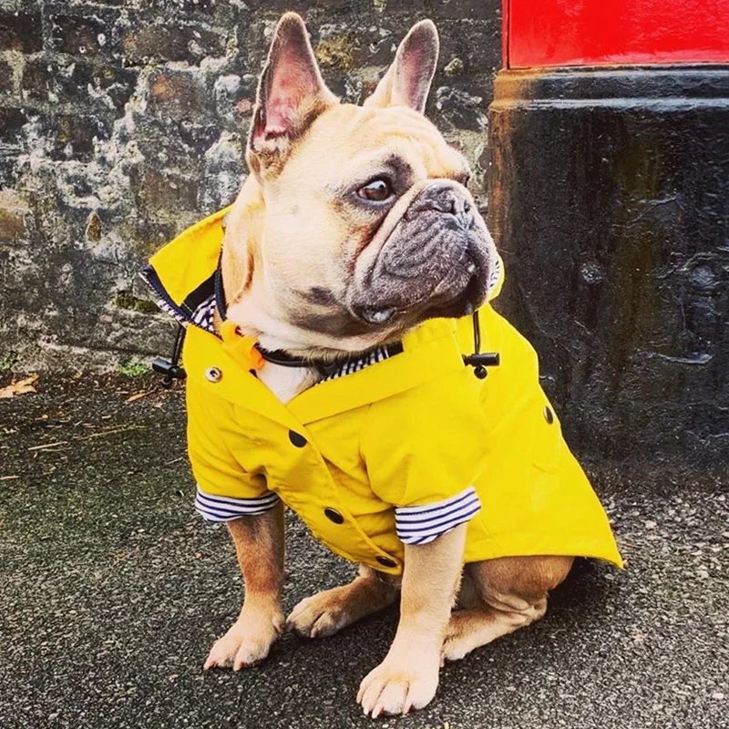 Fashion French Bulldog Pet Rain Coat for Small Medium Dogs Waterproof Puppy Dog Clothes Pug Corgi Pitbull Mascotas Raincoat