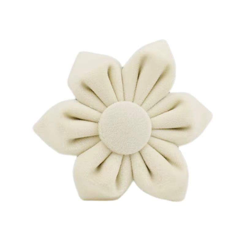 Milky White Velvet Set